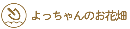 よっちゃんのお花畑